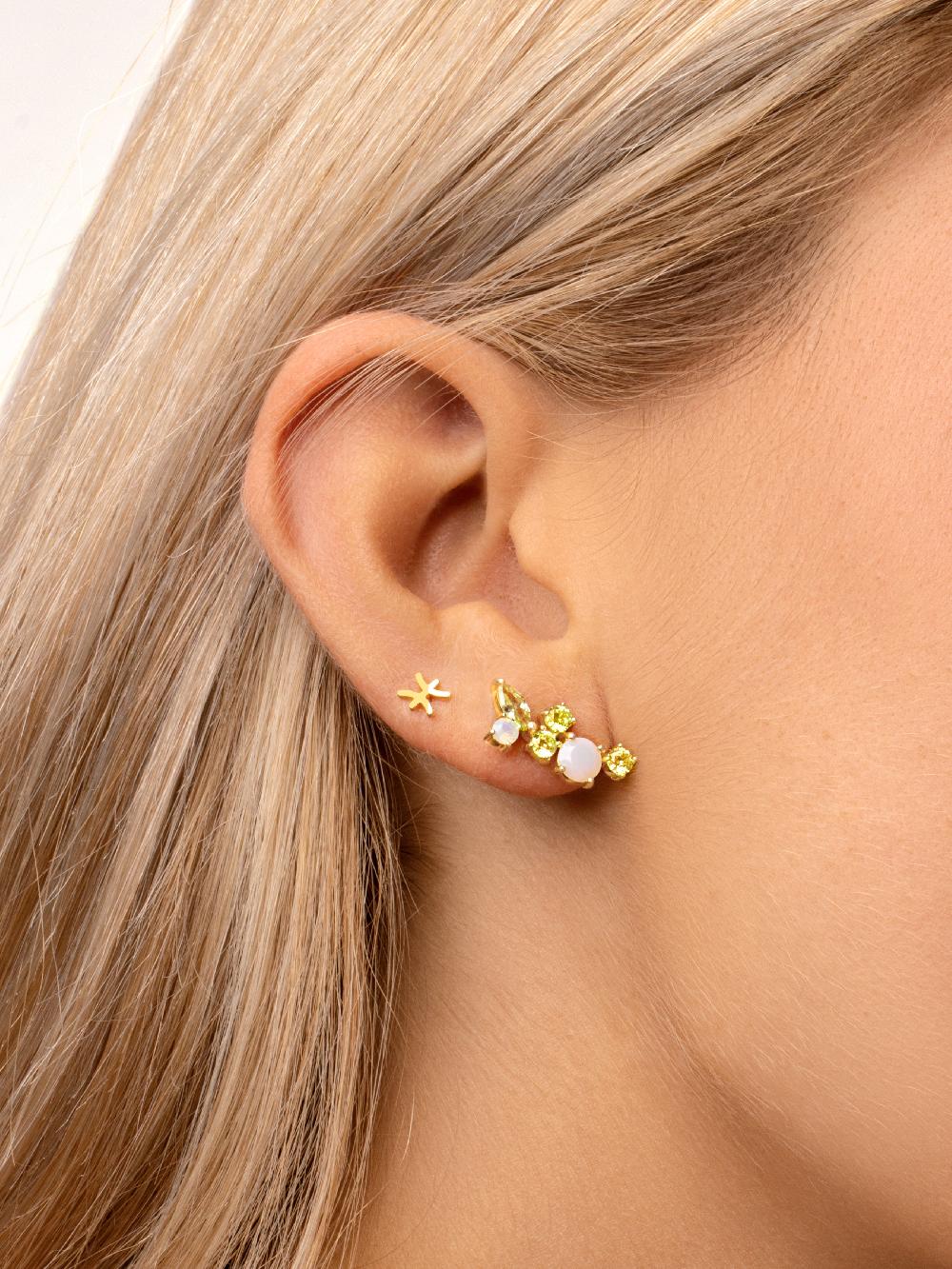 Singularu Pendiente Suelto Zodíaco Plata Baño Oro