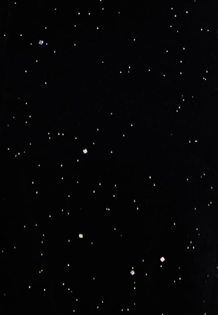 Sinned X About You Camiseta Faina En Negro