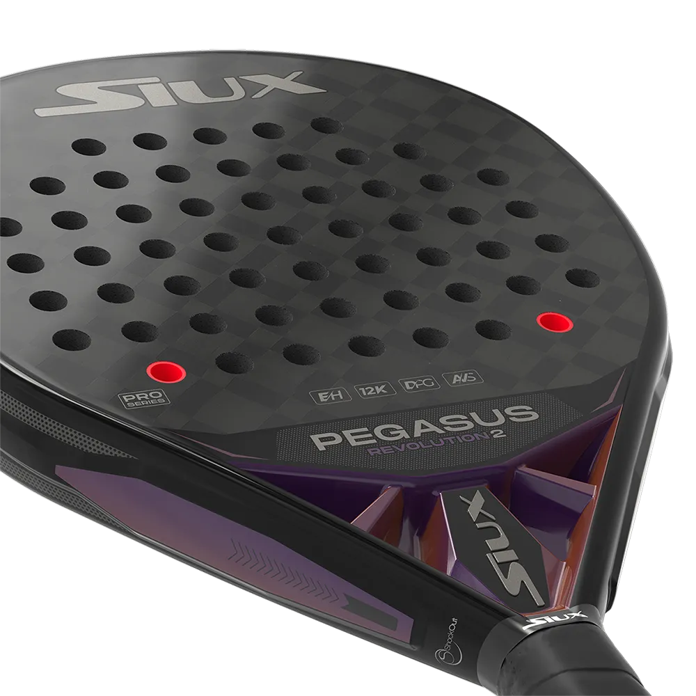 Siux SIUX PEGASUS REVOLUTION 2 PRO