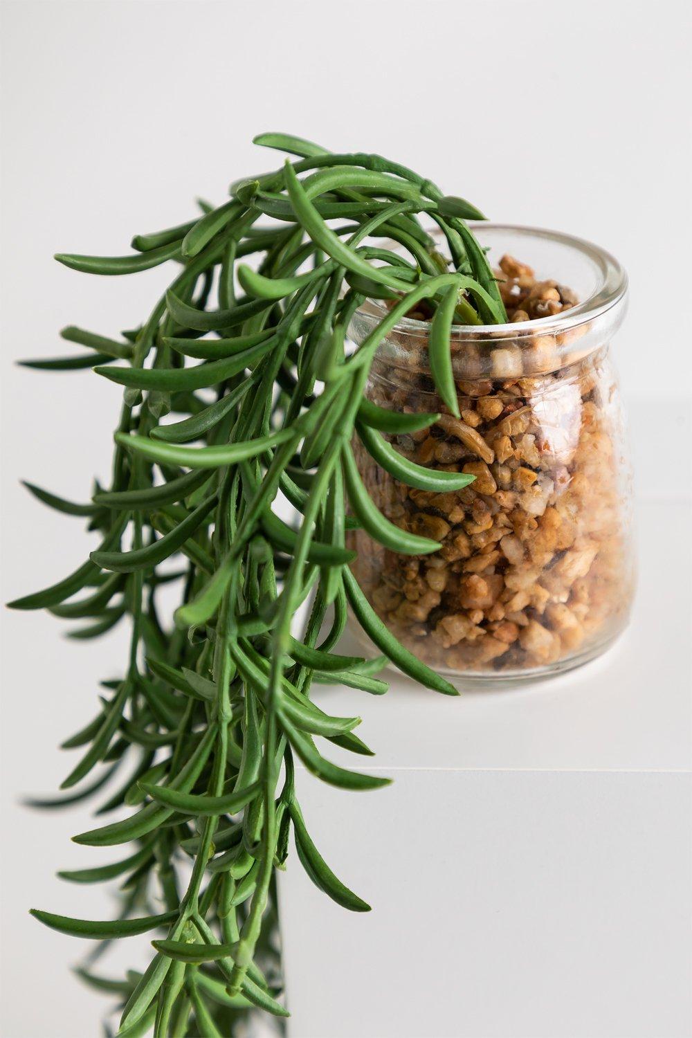 Sklum Dekoracyjna Sztuczna Roślina Senecio Radicans