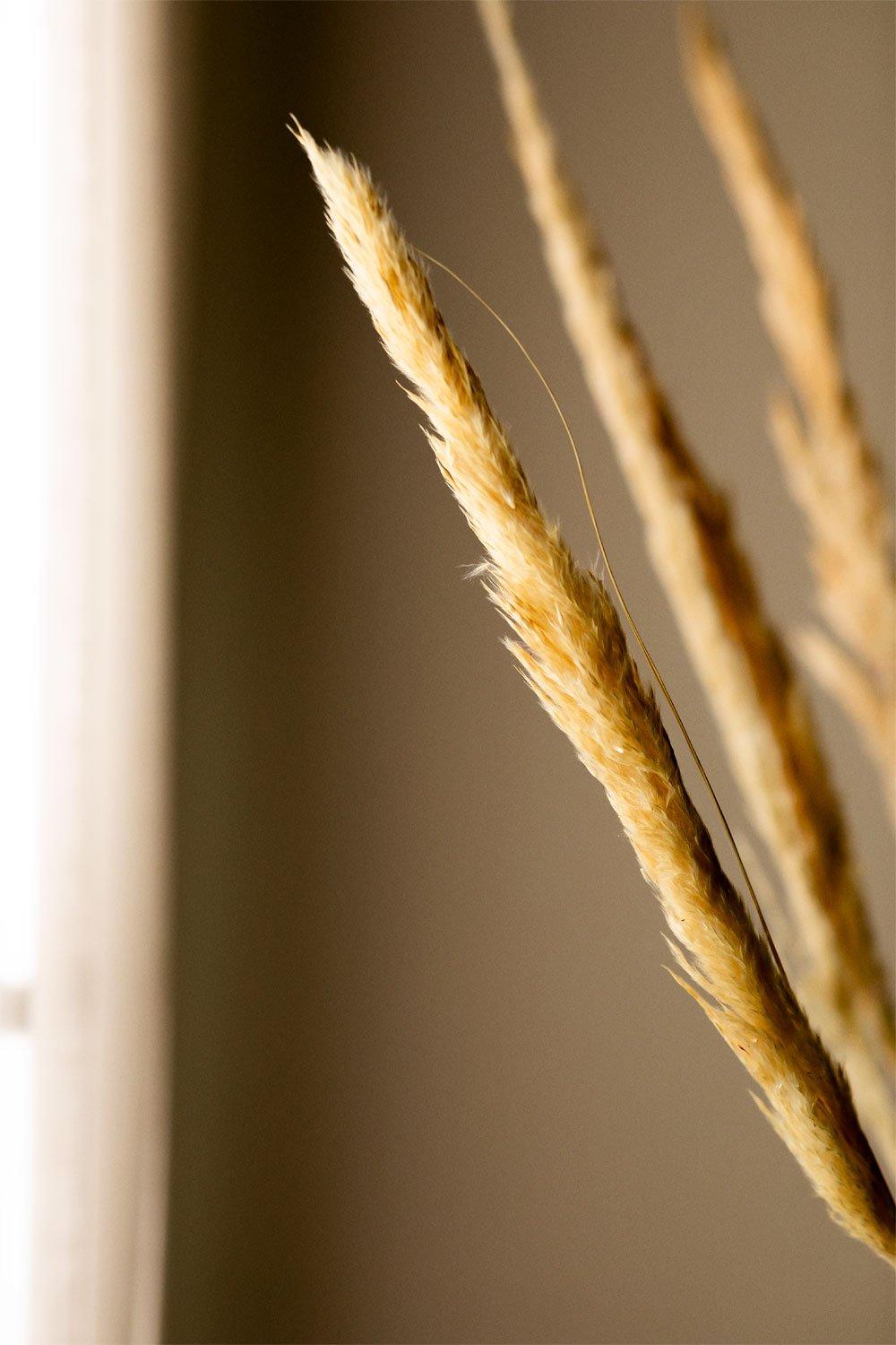 Sklum Pack Of 6 Decorative Dried Branches Megina