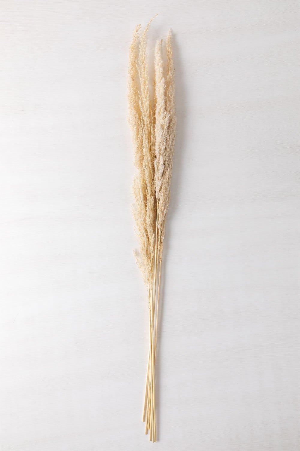 Sklum Pack Of 6 Decorative Dried Branches Megina