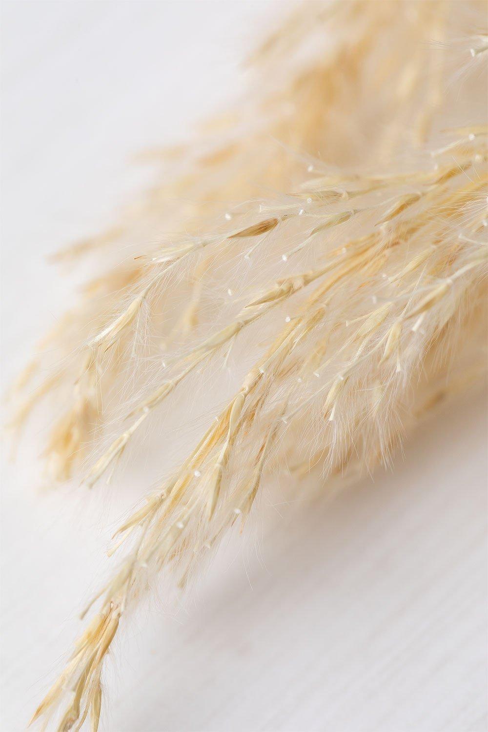 Sklum Pack Of 6 Decorative Dried Branches Megina