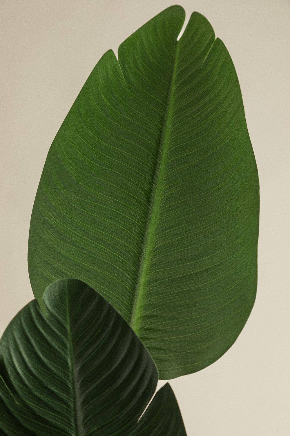 Sklum Planta Artificial Decorativa Strelitzia