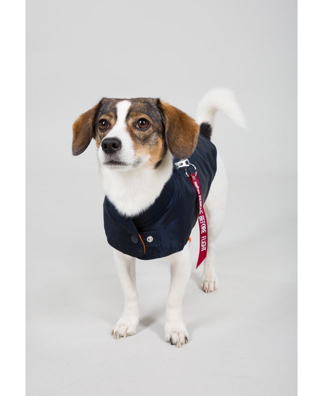 Spezial Madrid Alpha Industries Dog Nylon Flight Jacket Black