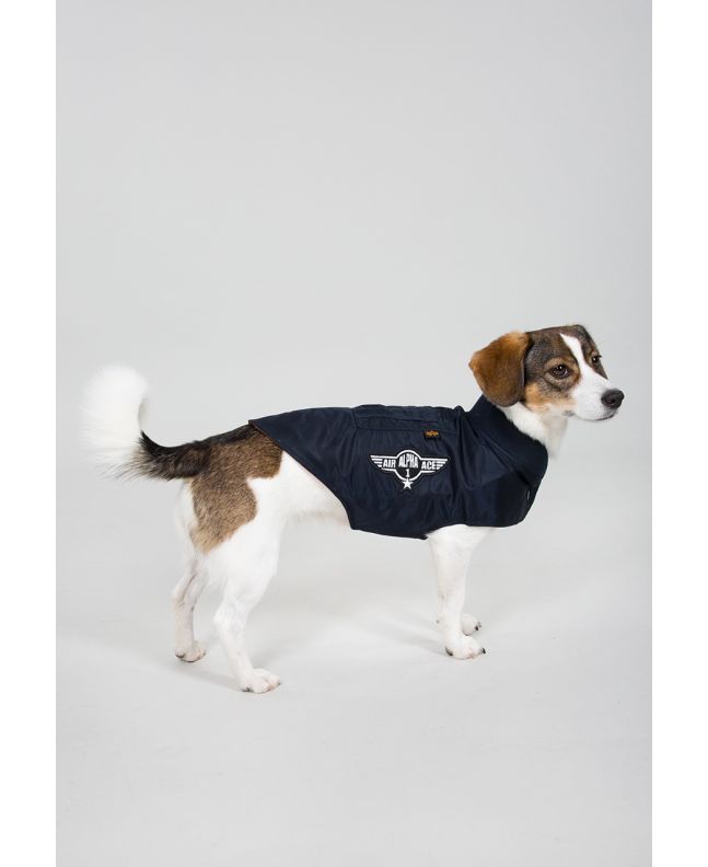 Spezial Madrid Alpha Industries Dog Nylon Flight Jacket Black