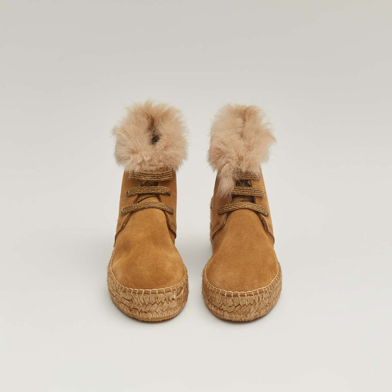 Star Love DRACO31 CANELA