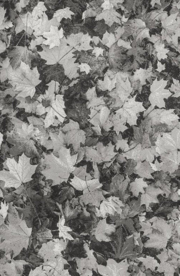 sualsa Alfombra acrílica diseño floral moderna tacto suave. 255