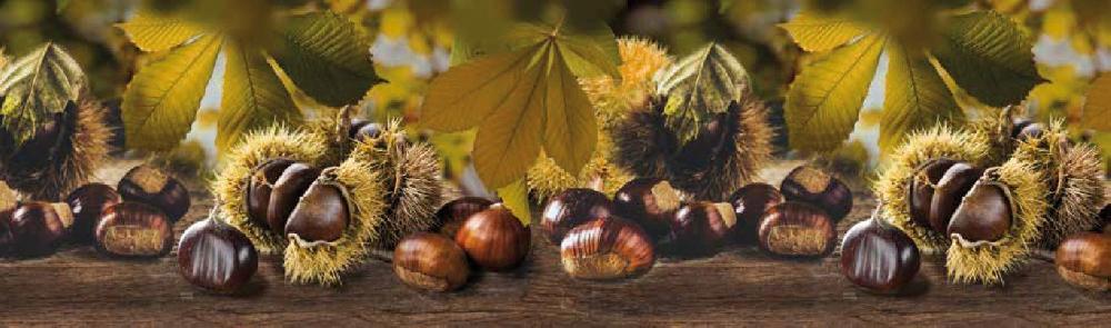 sualsa Alfombra Pasillo cocina antideslizante CASTAGNETO