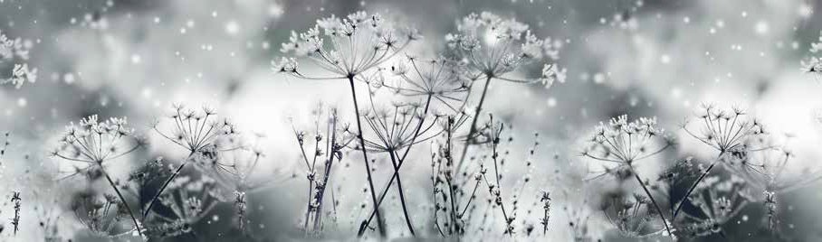 sualsa Alfombra NEVE