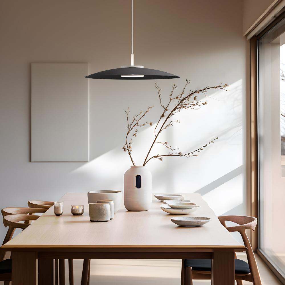 Sulion Lámpara De Techo VALENTINA.Metal Plano Negro Y Módulo Blanco.LED 18W