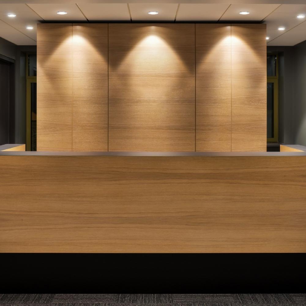 Sulion VISIO Módulo COB LED 11W ángulo De Apertura 120° Y 3CCT Switch| Sulion