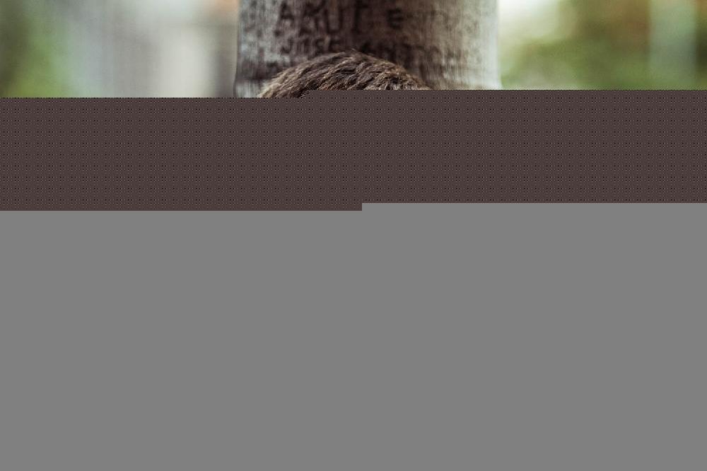 Sunpers Sunglasses Gafas De Sol - Blanco Transparente/ Patilla Dorada Metálica| SUNPERS