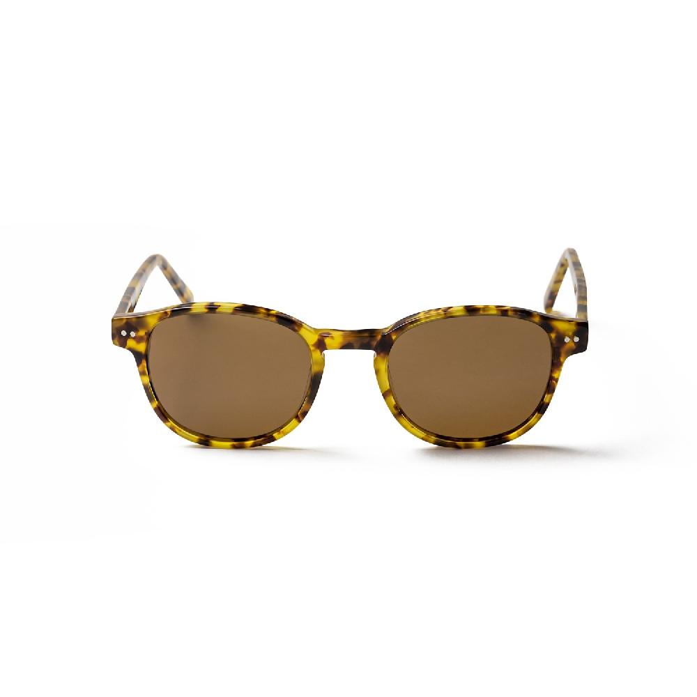Sunpers Sunglasses PAXTON DEMI BROWN FRAME AND BROWN LENS | SUNPERS SUNGLASSES
