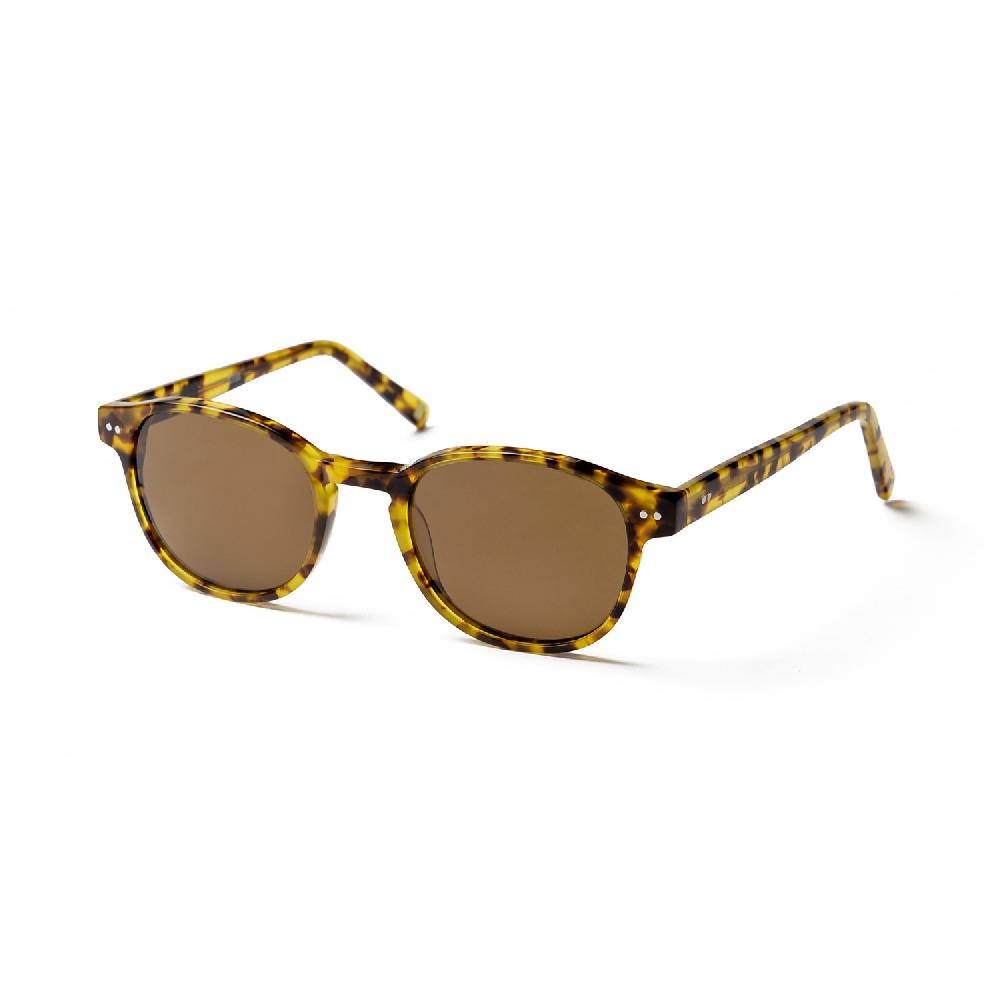 sunpers sunglasses PAXTON DEMI BROWN FRAME AND BROWN LENS | SUNPERS SUNGLASSES