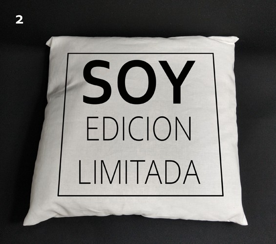 Susana Escribano Funda Cojín 50×50 – Color Blanco. Cojin Con Frase