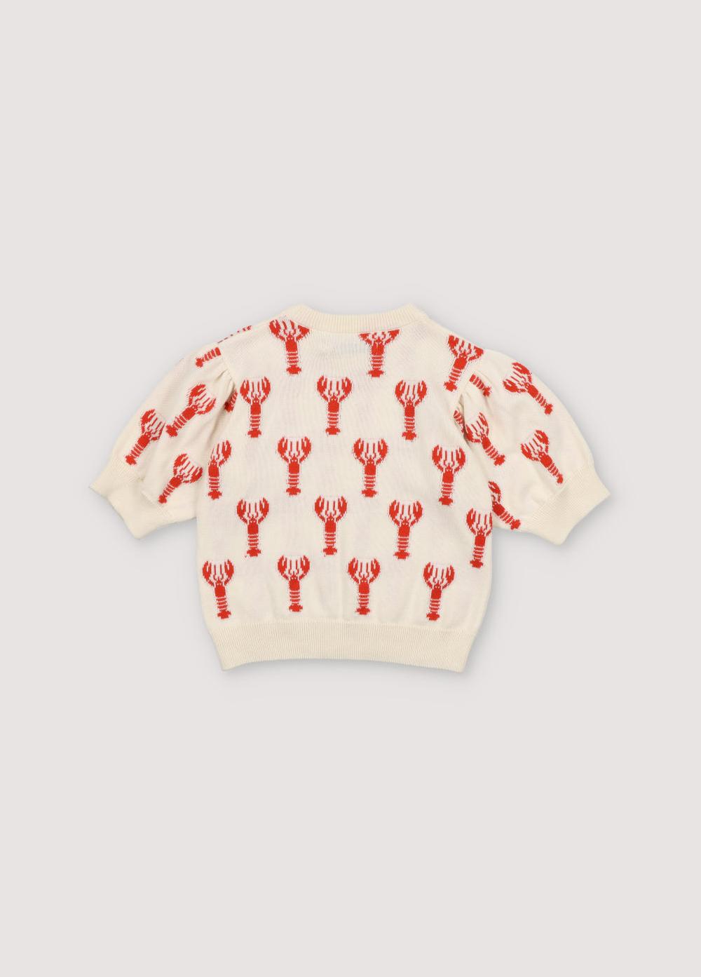 The New Society Motivo De Langosta Superior De Oia