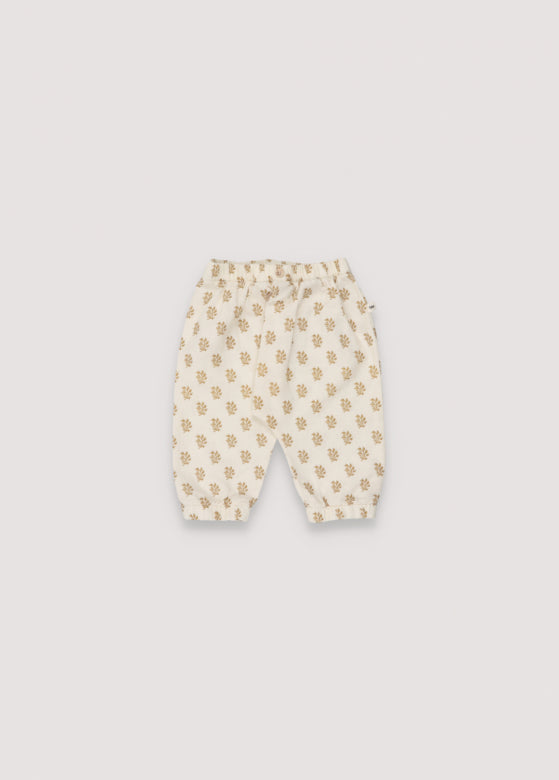 The New Society Pantalón Milagroso