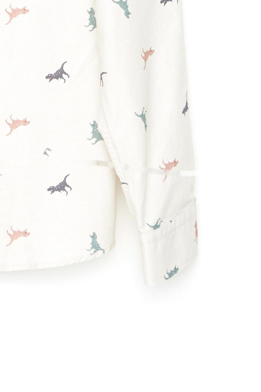 Tiwel Camisa Docus Cashew