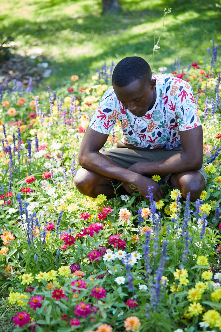 Tiwel Camiseta Tamarindo