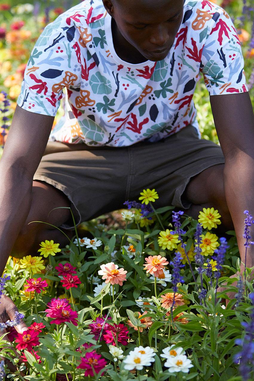 tiwel Camiseta Tamarindo