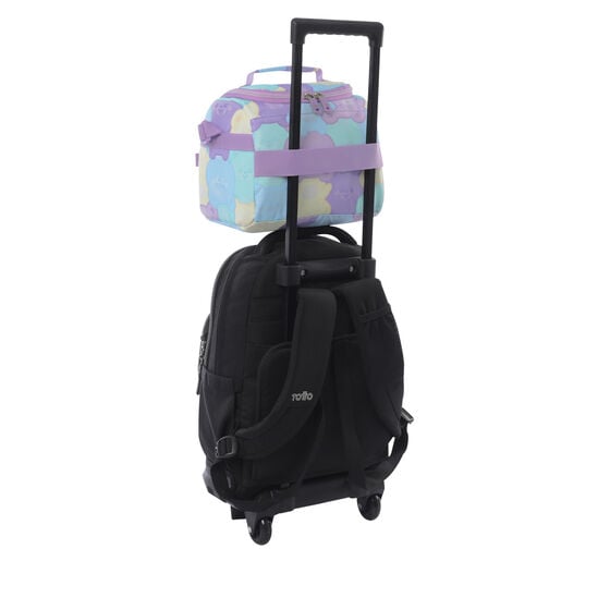 Totto Portamediendas Resaltador - Teddy