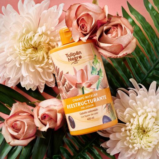 tulipán negro Champú Micelar Tulipán Negro Reestructurante Del Color
