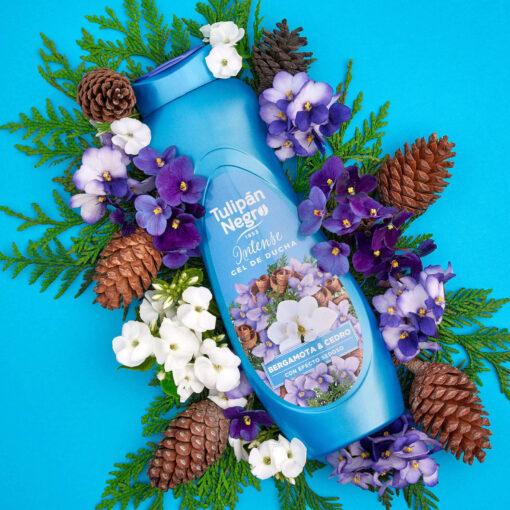 tulipán negro Gel de Ducha Intense Bergamota & Cedro 550 ml tulipán negro Gel de Ducha Intense Bergamota & Cedro 550 ml