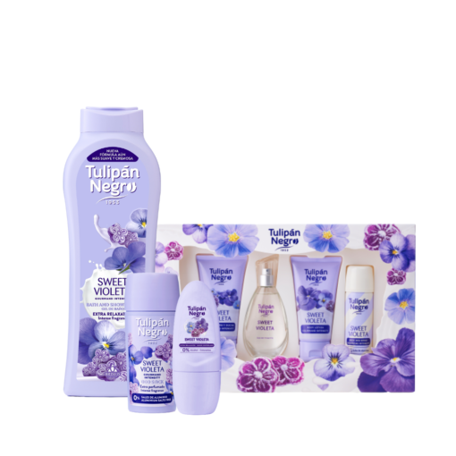 tulipán negro Pack Sweet Violeta