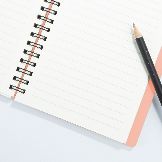 Vacavaliente | Libreta Plein Air Rayado A6 Pink Sand