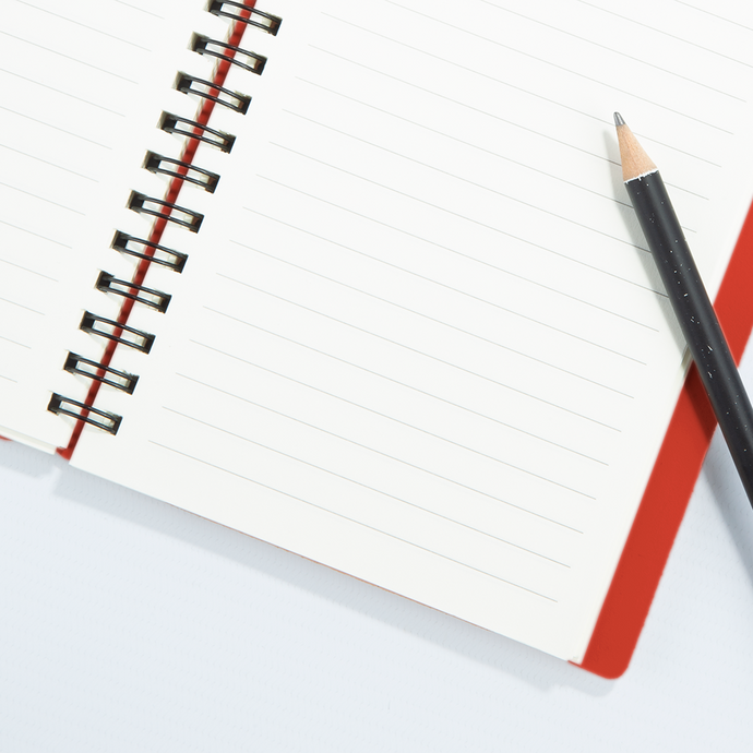 Vacavaliente | Libreta Plein Air Rayado A6 Red Clay