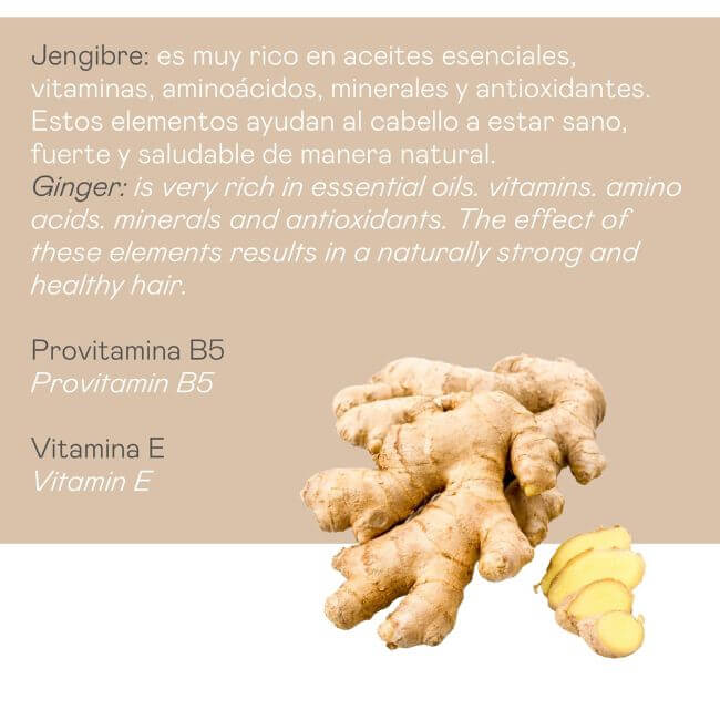 Valquer Laboratorios Champú Jengibre Ginger Strong - 1000 Ml