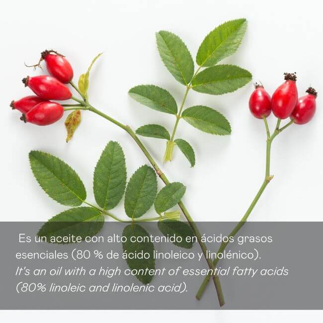 Valquer Laboratorios Sérum Aceite Rosa Mosqueta 100% Puro - 30 Ml