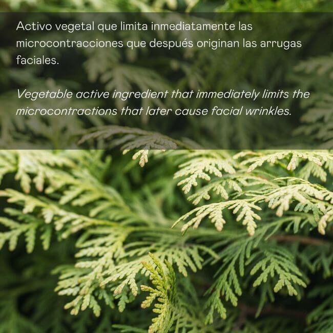 Valquer Laboratorios Sérum Facial Antiarrugas De Expresión - 30 Ml