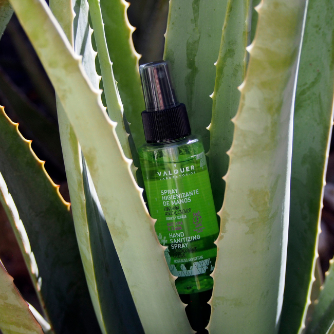 Valquer Laboratorios Spray Hidroalcohólico De Manos Limpiador Hidroalcohólico - 100 Ml