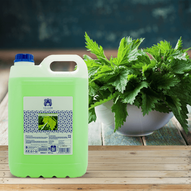 Valquer Laboratorios Champú Clorofila - 5000 Ml