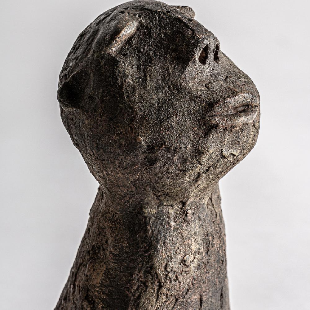 Vical Home BUSTO BLASSE