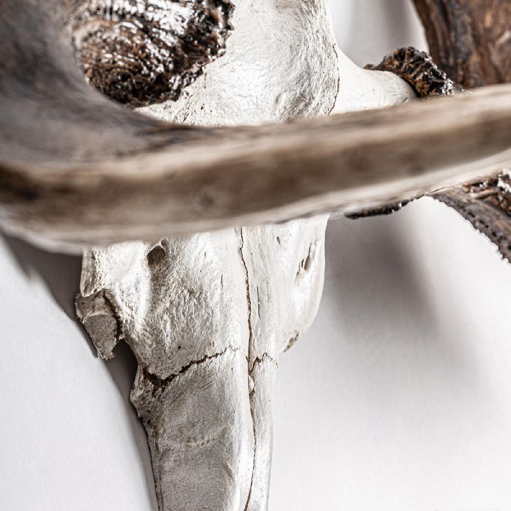 Vical Home BUSTO CUERNO CIERVO