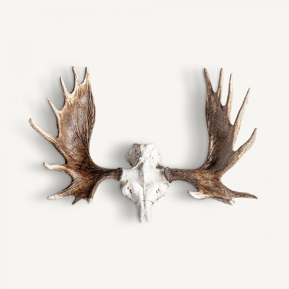 vical home BUSTO CUERNO CIERVO