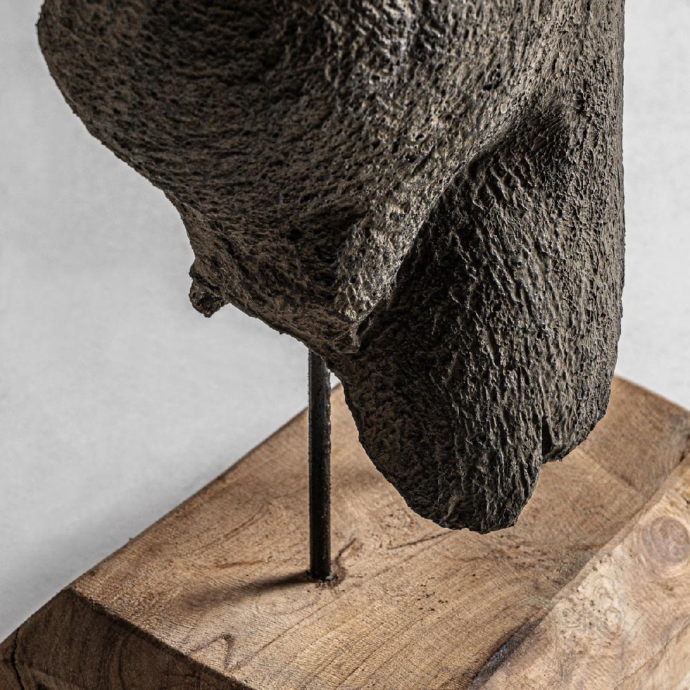 Vical Home BUSTO MAN