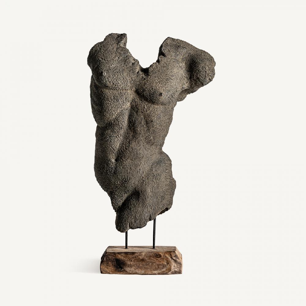 vical home BUSTO MAN