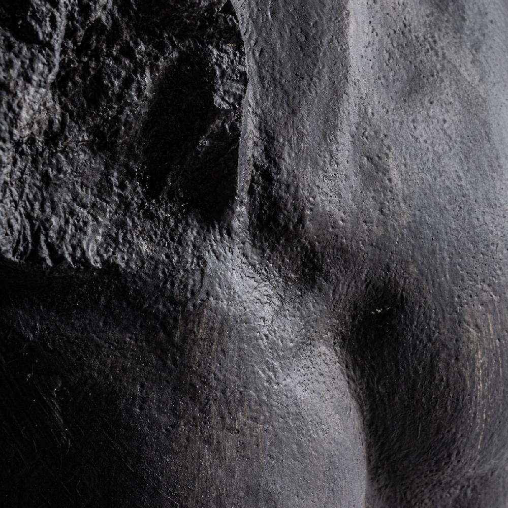 Vical Home BUSTO ZEUS