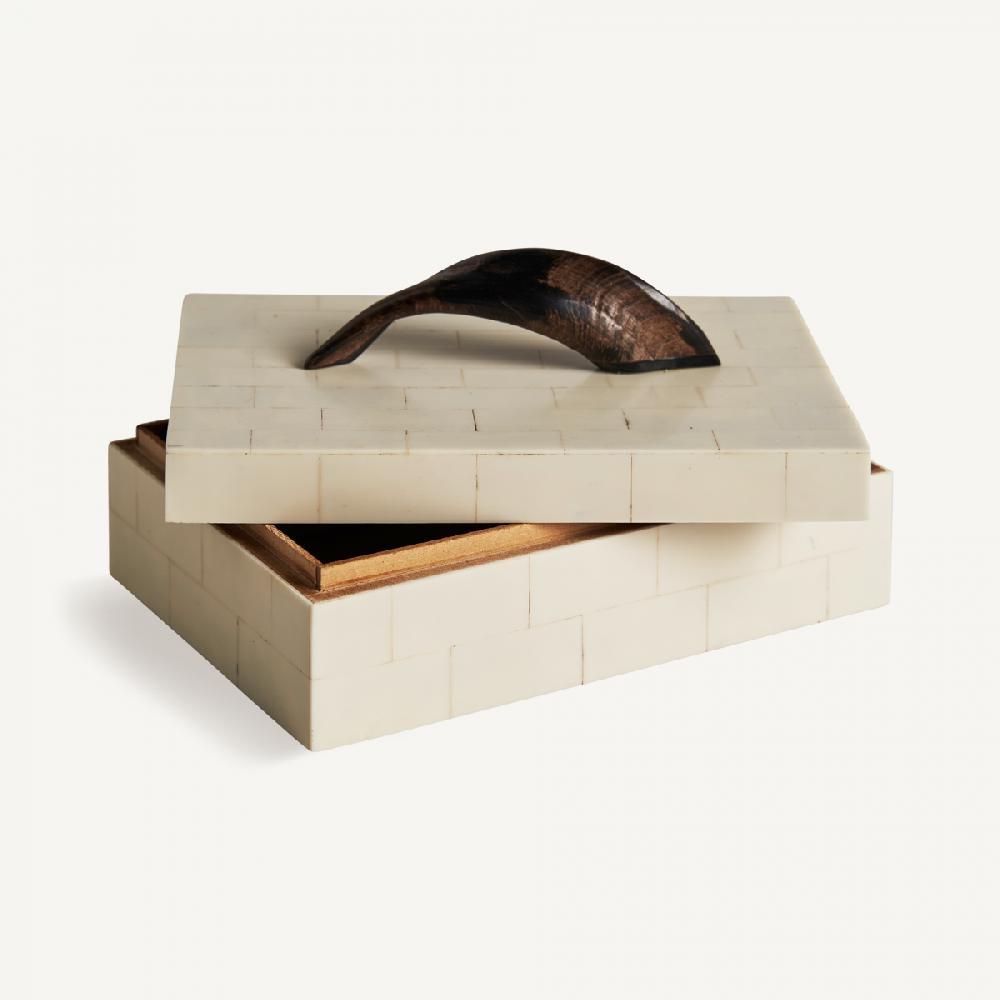 Vical Home CAJA KADIE