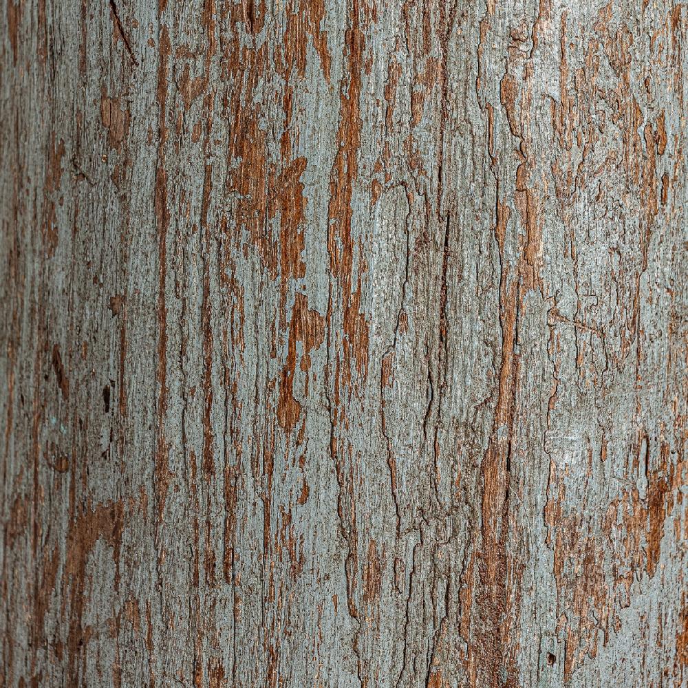 Vical Home COLUMNA HADU