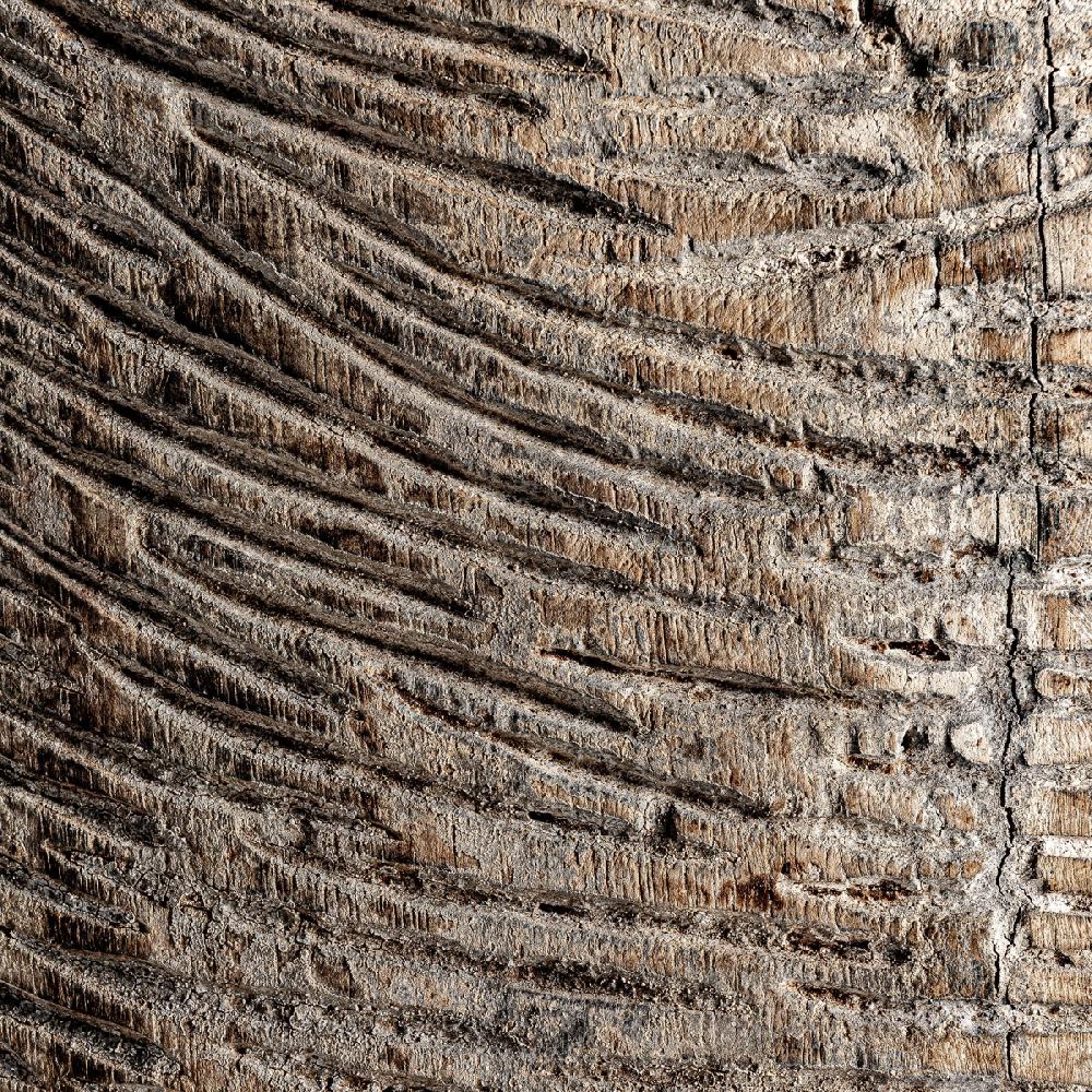 Vical Home ESCULTURA