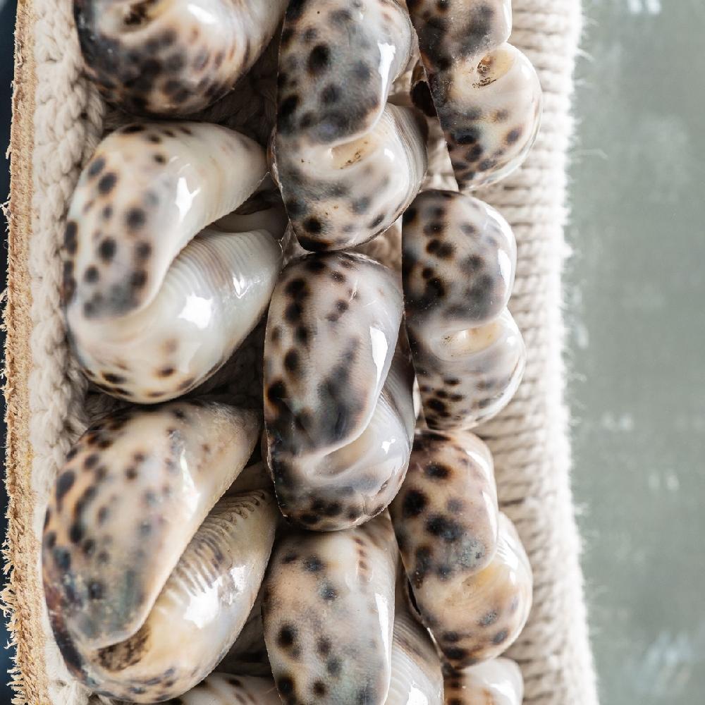 Vical Home ESPEJO THOLY