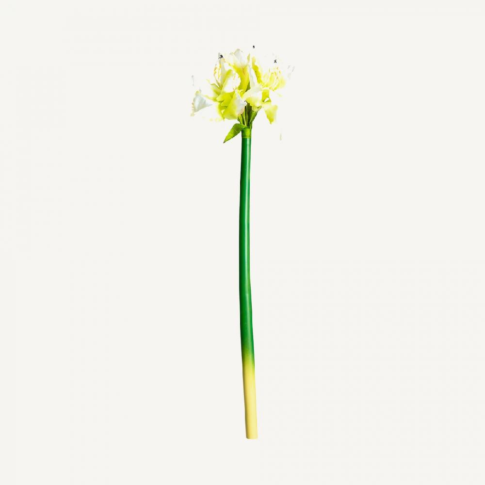 Vical Home FLOR AMARYLLIS