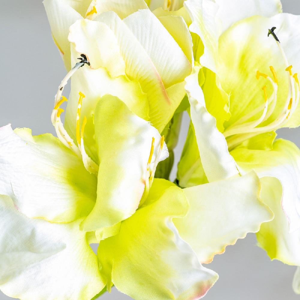 Vical Home FLOR AMARYLLIS