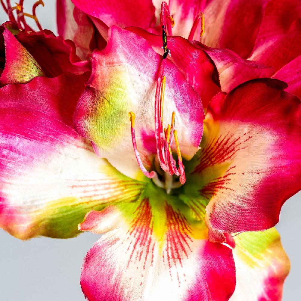Vical Home FLOR AMARYLLIS