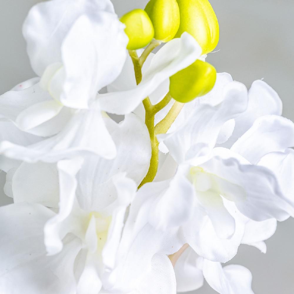 Vical Home FLOR AZAHAR